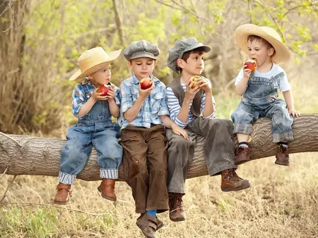 4 kleine Jungs sitzen auf einem Baumstamm und essen Äpfel